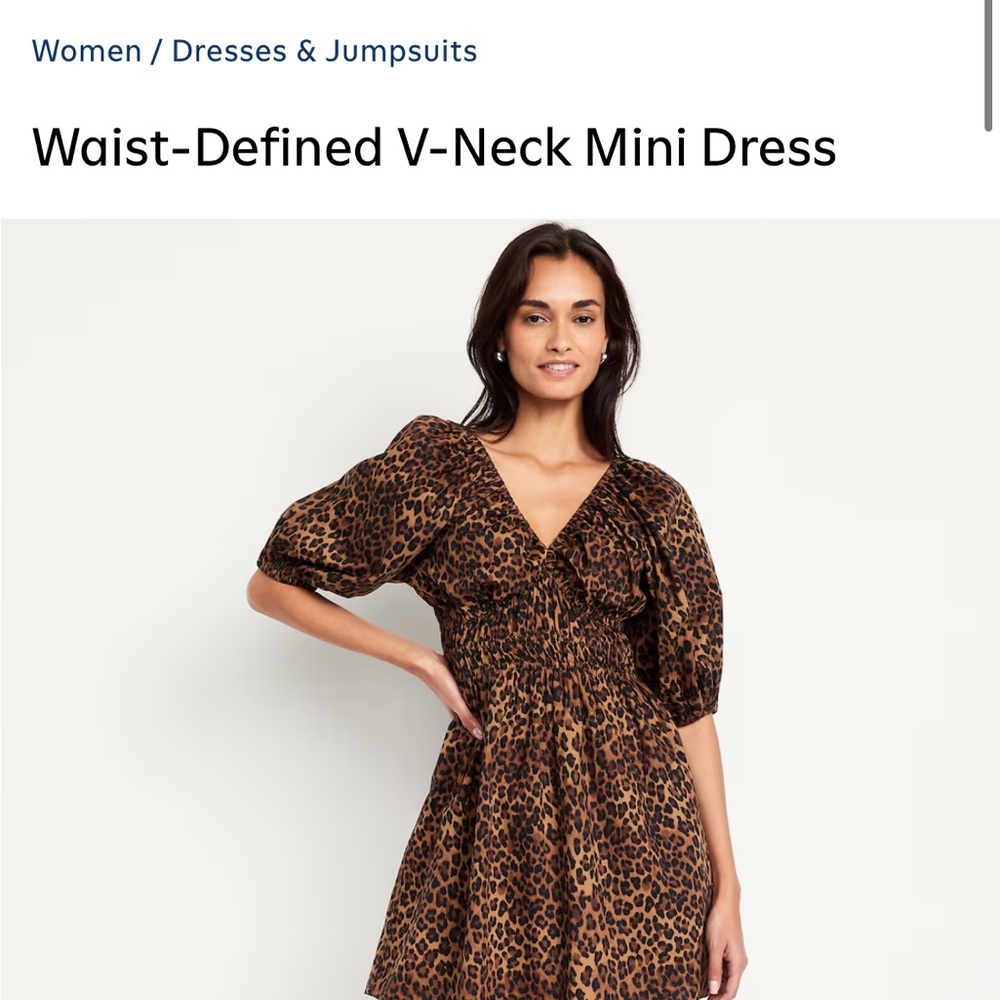 Old Navy Cheetah Print Fit and Flare Mini Dress